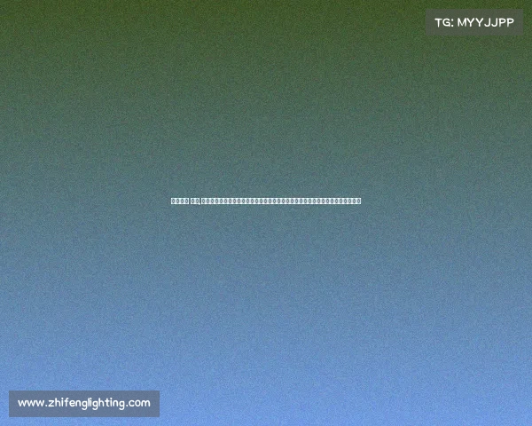 体验之旅 英文,踏上赛事体验之旅：亲身感受竞技魅力，沉浸在速度与激情的世界中创造永恒回忆